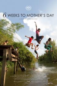 6 Weeks To Mothers Day (2017) [1080p] [WEBRip] <span style=color:#39a8bb>[YTS]</span>