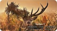 Inside the Forest Seasons of Wonder Series 1 4of4 Winter 1080p HDTV x264 AAC