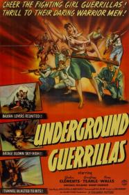 Underground Guerrillas (1943) [1080p] [WEBRip] <span style=color:#39a8bb>[YTS]</span>