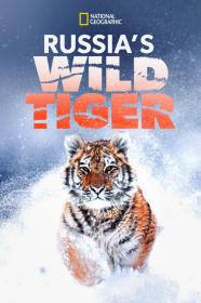 Big Cat Week Russias Wild Tiger (2022) [1080p] [WEBRip] [5.1] <span style=color:#39a8bb>[YTS]</span>