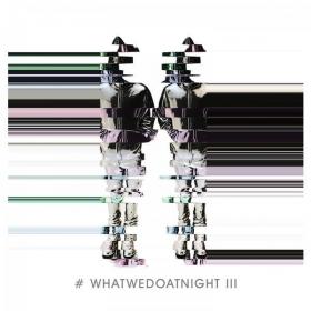 Blank & Jones - #WhatWeDoAtNight 3 (2022) [24Bit-44.1kHz] FLAC [PMEDIA] ⭐️