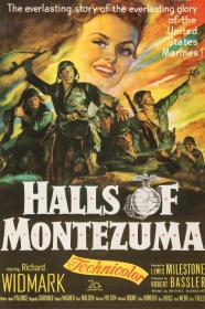 Halls Of Montezuma (1951) [720p] [BluRay] <span style=color:#39a8bb>[YTS]</span>