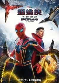 [蜘蛛侠：英雄无归]Spider-Man: No Way Home 2021 Bluray 1080p x265 10bit DTS-HD MA 5.1-BOBO