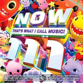 VA - NOW That's What I Call Music! 111 (2CD) (2022) FLAC [PMEDIA] ⭐️