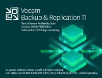 Veeam Backup & Replication Enterprise Plus 11.0.1.1261 P20220302 [FileCR]