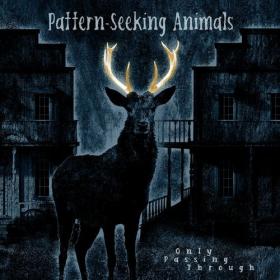 Pattern-Seeking Animals - Only Passing Through (Bonus Track Edition) (2022) Mp3 320kbps [PMEDIA] ⭐️