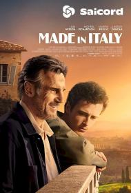 Made In Italy (2020) [Hindi Dub] 1080p WEB-DLRip Saicord