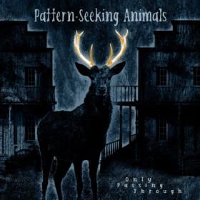 Pattern-Seeking Animals - 2022 - Only Passing Through (24bit-96kHz)