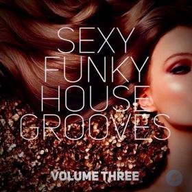 Various Artists - Sexy Funky House Grooves Volume Three (2022) Mp3 320kbps [PMEDIA] ⭐️