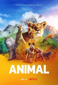 Animal (S01)(2021)(Complete)(FHD)(1080p)(x264)(WebDL)(MultiLangL)(MultiSUB) PHDTeam