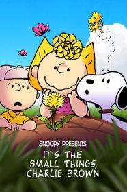 Snoopy Presents Its the Small Things Charlie Brown 2022 2160p WEBRip 1750MB DDP5.1 x264<span style=color:#39a8bb>-GalaxyRG[TGx]</span>