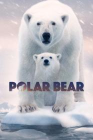 Polar Bear (2022) [1080p] [WEBRip] [5.1] <span style=color:#39a8bb>[YTS]</span>