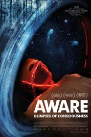 Aware - Glimpses of Consciousness (2021) 1080p WEBRip x265 An0mal1