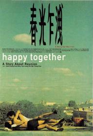 【更多高清电影访问 】春光乍泄[国语音轨+简繁字幕] Happy Together 1997 BluRay 2160p DTS-HD MA 5.1 HDR x265 10bit<span style=color:#39a8bb>-CTRLHD</span>