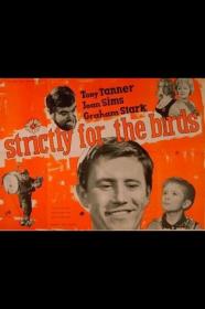 Strictly For The Birds (1964) [720p] [WEBRip] <span style=color:#39a8bb>[YTS]</span>