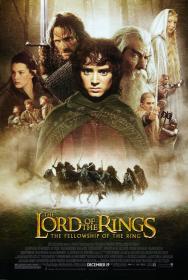 The Lord Of The Rings The Fellowship Of The Ring 2001 Extended Edition 1080p BluRay x264-RiPPY