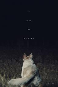 It Comes at Night 2017 2160p WEB-DL x265 10bit SDR DTS-HD MA 5.1<span style=color:#39a8bb>-NOGRP</span>