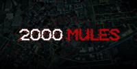 2000 Mules Documentary 2022 WebRip x264 720