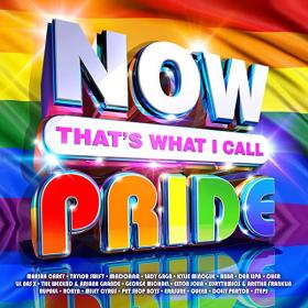 VA - NOW That's What I Call Pride (4CD) (2022) FLAC [PMEDIA] ⭐️