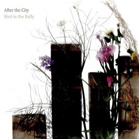 (2022) Bird in the Belly - After the City [FLAC]