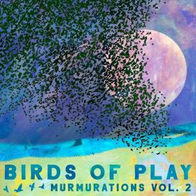 (2022) Birds of Play - Murmurations, Vol  2 [FLAC]