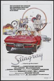 Stingray 1978 1080p BluRay x264 DTS<span style=color:#39a8bb>-FGT</span>