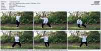 Udemy - Tai Chi for Health and Well-Being. Tai Chi for Beginners