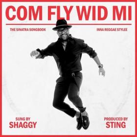 Shaggy - Com Fly Wid Mi (2022) Mp3 320kbps [PMEDIA] ⭐️
