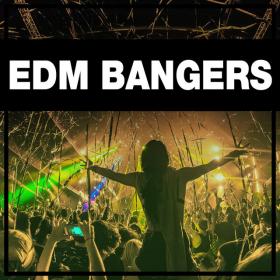 Bangers  EDM  Mp3 _320   kbps_ Playlist   Beats⭐