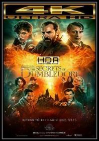 Fantastic Beasts The Secrets of Dumbledore 2022 HMAX WEBRip UHD HDR DD 5.1 gerald99