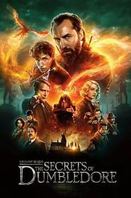 Fantastic Beasts The Secrets of Dumbledore 2022 2160p 10bit HDR DV WEBRip 6CH x265 HEVC<span style=color:#39a8bb>-PSA</span>