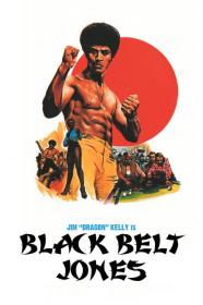 Black Belt Jones (1974) [720p] [WEBRip] <span style=color:#39a8bb>[YTS]</span>