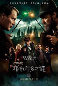 神奇动物：邓布利多之谜(中英双字) Fantastic Beasts The Secrets of Dumbledore 2022 WEB-1080p X264 AAC CHS ENG<span style=color:#39a8bb>-UUMp4</span>