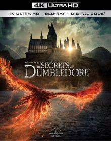 Fantastic Beasts The Secrets of Dumbledore 2022 2160p WEB-DL DDP5.1 Atmos HDR DoVi Hybrid P8 by DVT