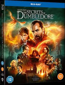Fantastic Beasts The Secrets of Dumbledore 2022 DUAL BDRip x264 <span style=color:#39a8bb>-HELLYWOOD</span>