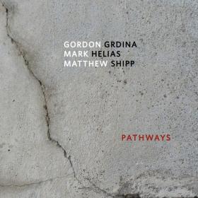 Gordon Grdina Mark Helias Matthew Shipp - Pathways (2022) [24Bit-88 2kHz] FLAC [PMEDIA] ⭐️