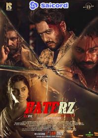 Haterz (2022) [Hindi Dubbed] 720p WEB-DLRip Saicord