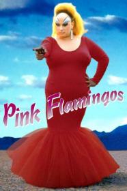 Pink Flamingos (1972) [720p] [BluRay] <span style=color:#39a8bb>[YTS]</span>