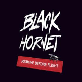 Black hornet - Remove Before Flight (2022) [24Bit-44.1kHz] FLAC [PMEDIA] ⭐️