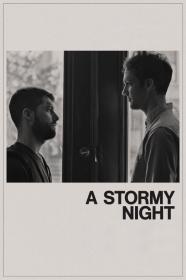 A Stormy Night (2020) [1080p] [WEBRip] <span style=color:#39a8bb>[YTS]</span>
