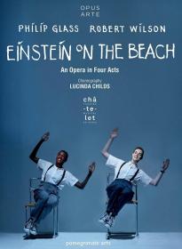 Einstein On The Beach 2014 1080p BluRay x264 DD 5.1-HANDJOB