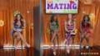HotAndMean 22 07 09 Cherie Deville Luna Star And Ana Foxxx The Mating Game 1 XXX 480p MP4<span style=color:#39a8bb>-XXX</span>