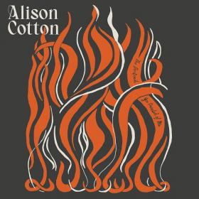 (2022) Alison Cotton - The Portrait You Painted of Me [FLAC]