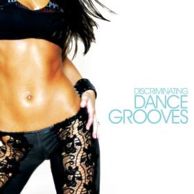 V A  - Discriminating Dance Grooves (2009 Elettronica) [Flac 16-44]