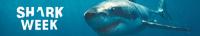 Shark Week 2022 Return to Headstone Hell 720p WEB h264<span style=color:#39a8bb>-BAE[TGx]</span>