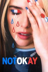 Not Okay (2022) [720p] [WEBRip] <span style=color:#39a8bb>[YTS]</span>