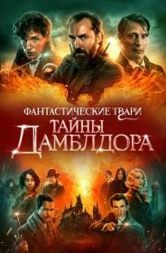 Fantastic Beasts The Secrets of Dumbledore 2022 rus DUB MVO HDRip