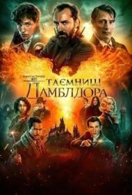 Fantastic Beasts The Secrets of Dumbledore 2022 ukr DUB MVO HDRip