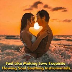 Feel Like Making Love_ Exquisite Flowing Soul Soothing Instrumentals (2022)
