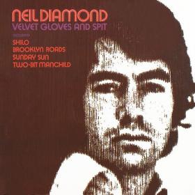 Neil Diamond - Velvet Gloves And Spit (1968 Pop) [Flac 24-192]